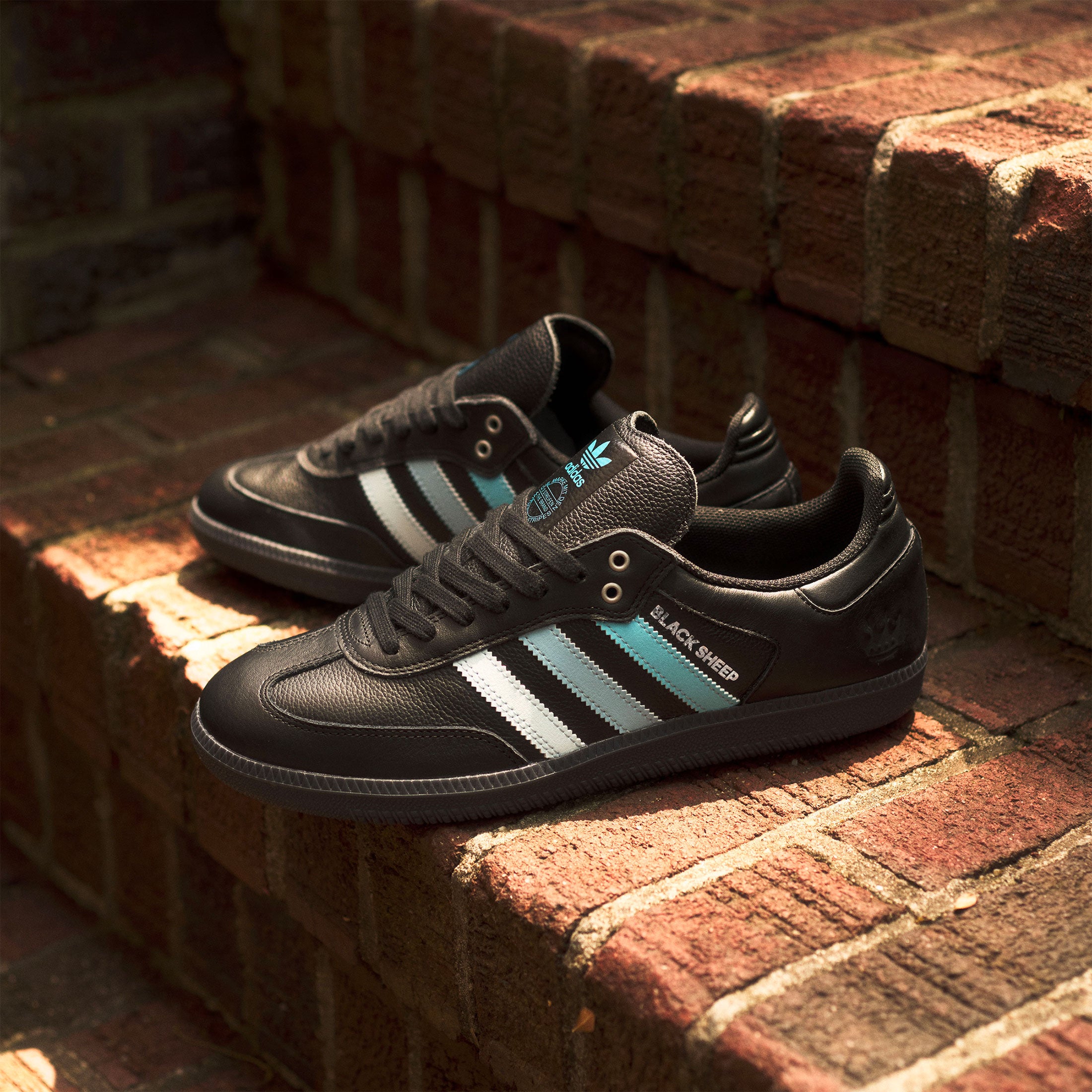 Adidas Skateboarding x Charlotte Football Club x Black Sheep - Samba ADV - Core Black / Cloud White / Ice Blue