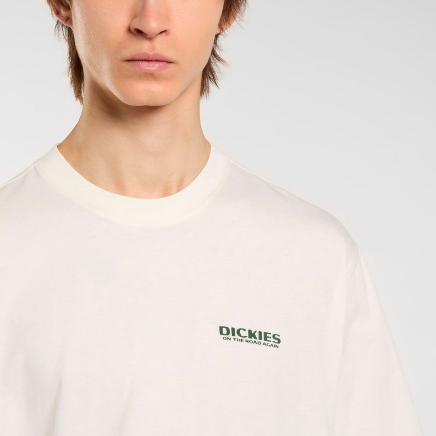 Dickies - BURNS TEE SS - Egret
