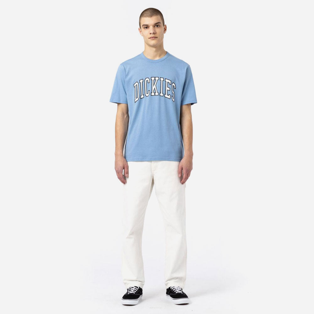 DICKIES - DUCK CARPENTER PANT - CLOUD