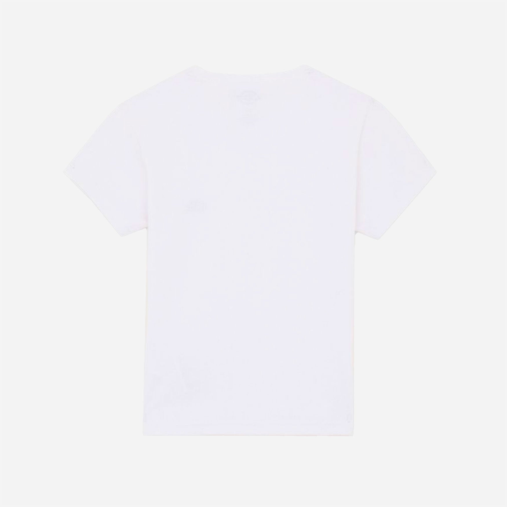 DICKIES - GLADEVILLE SS TEE W - White