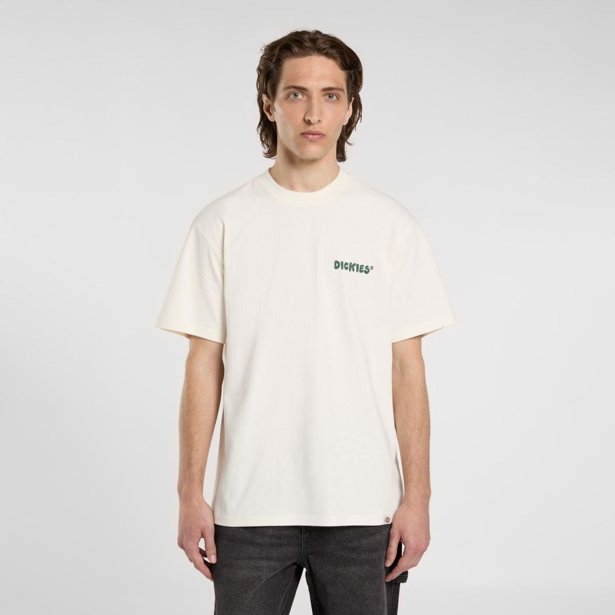 Dickies - Gordonsville Tee SS - Egret