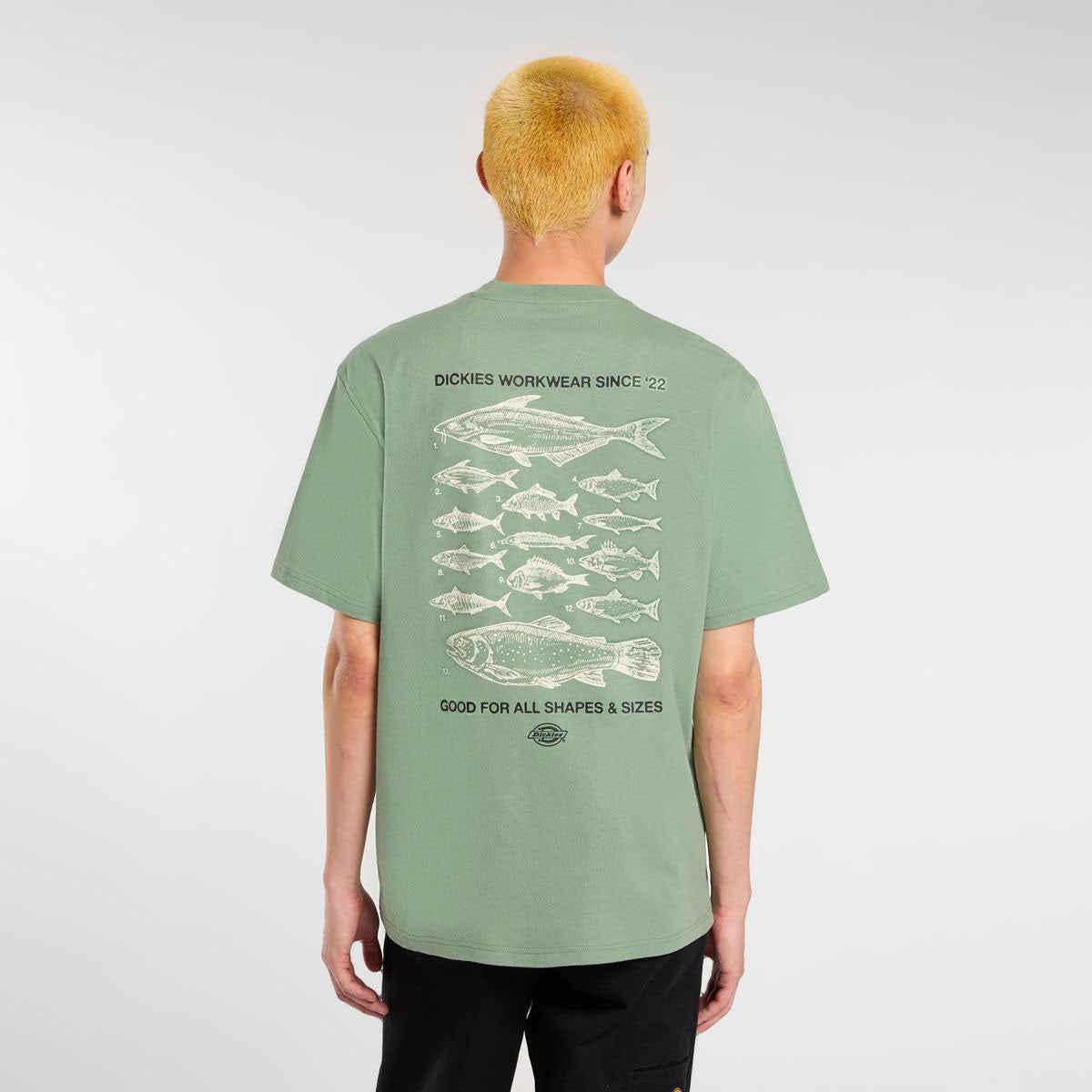 Dickies - LARYVILLE TEE SS - Sea Spray