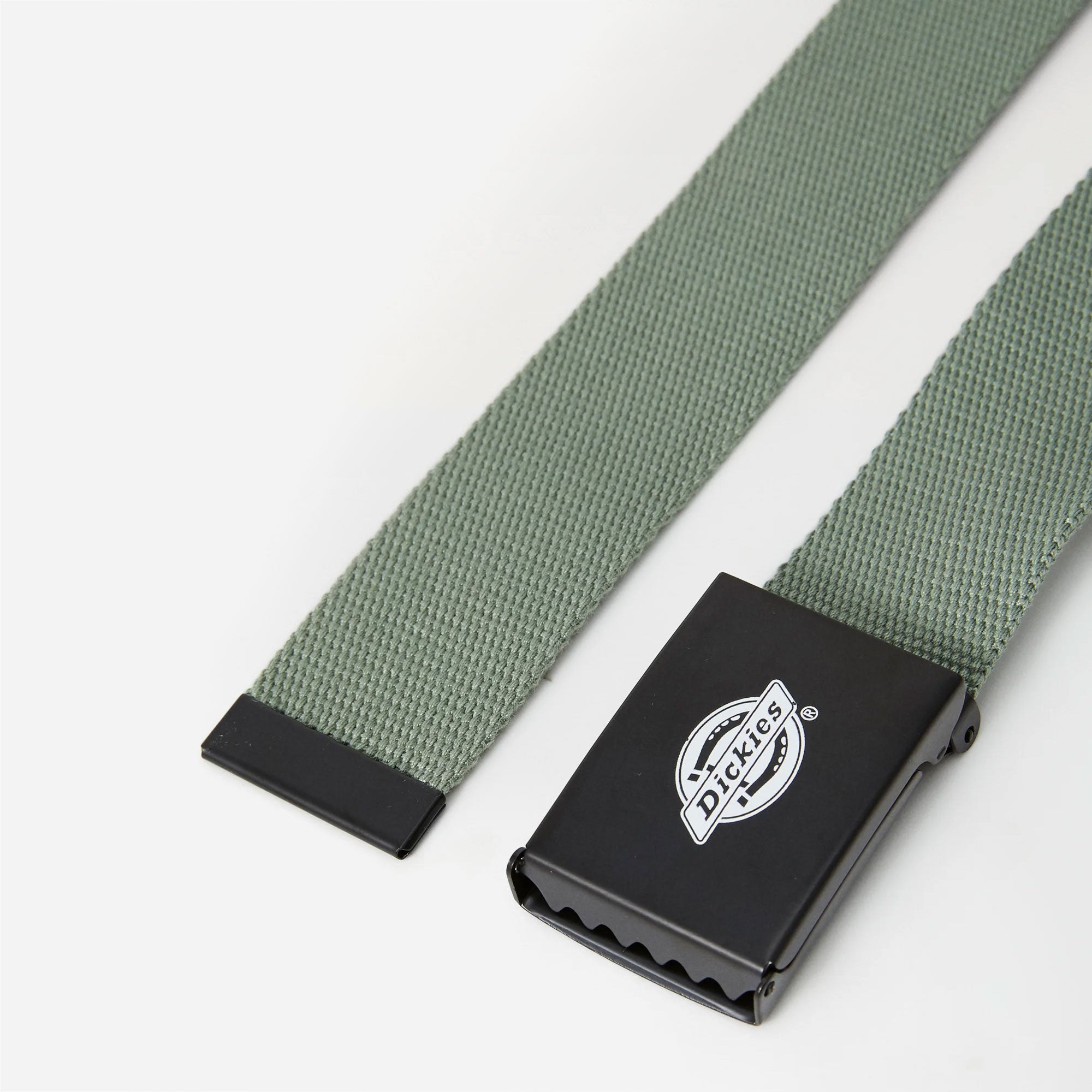 Dickies - Orcutt Webbing Belt - Sea Spray