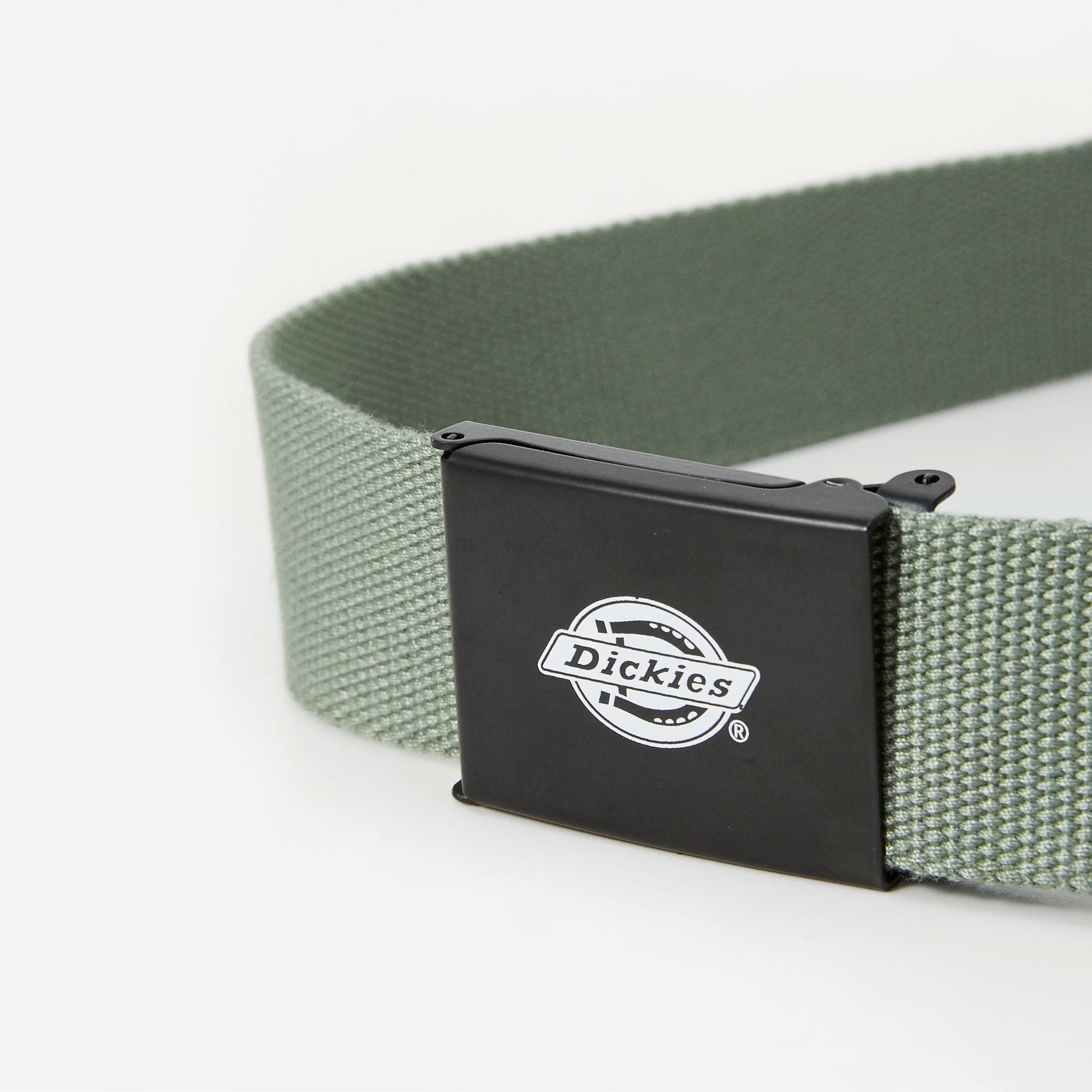 Dickies - Orcutt Webbing Belt - Sea Spray