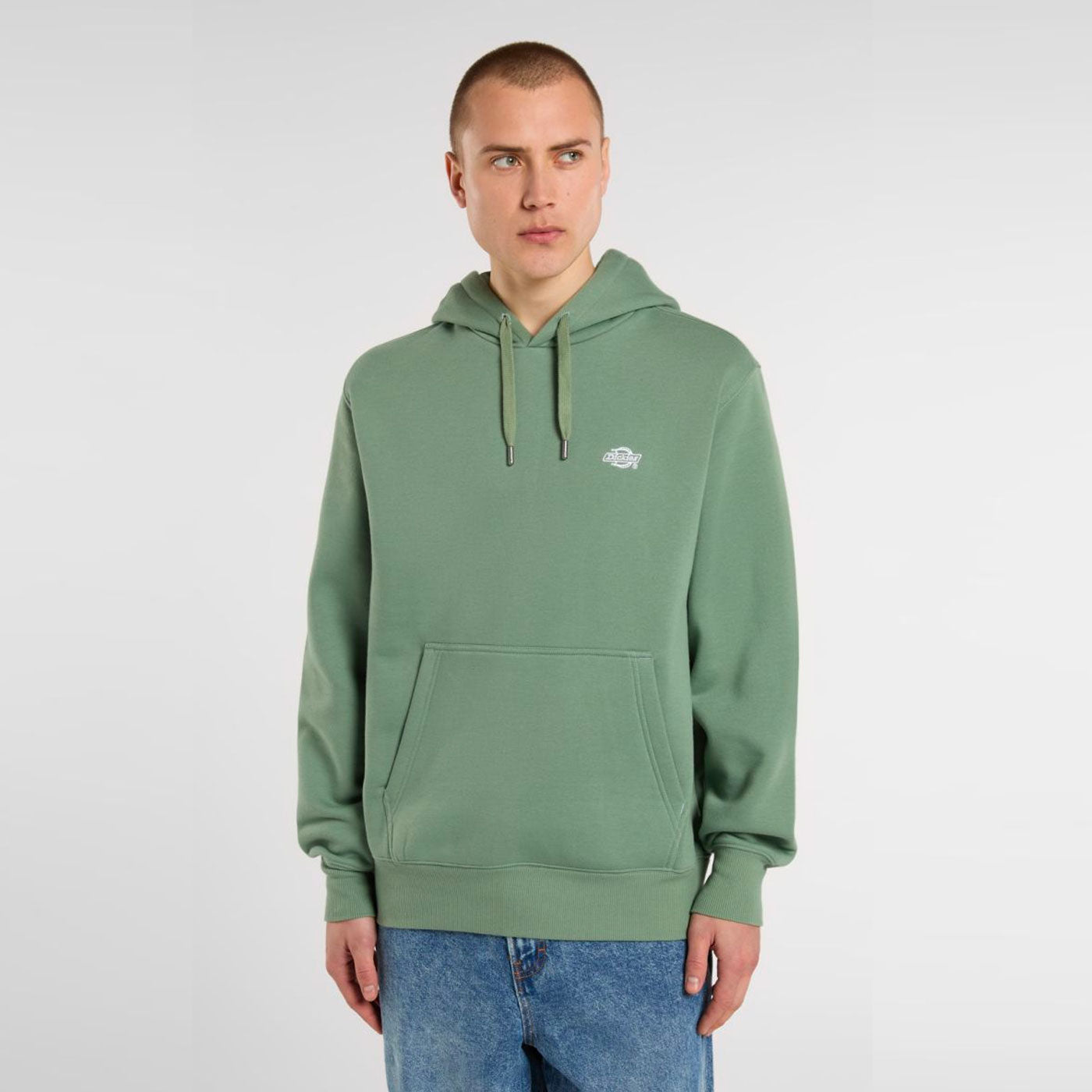 DICKIES - SUMMERDALE HOODIE - Sea Spray