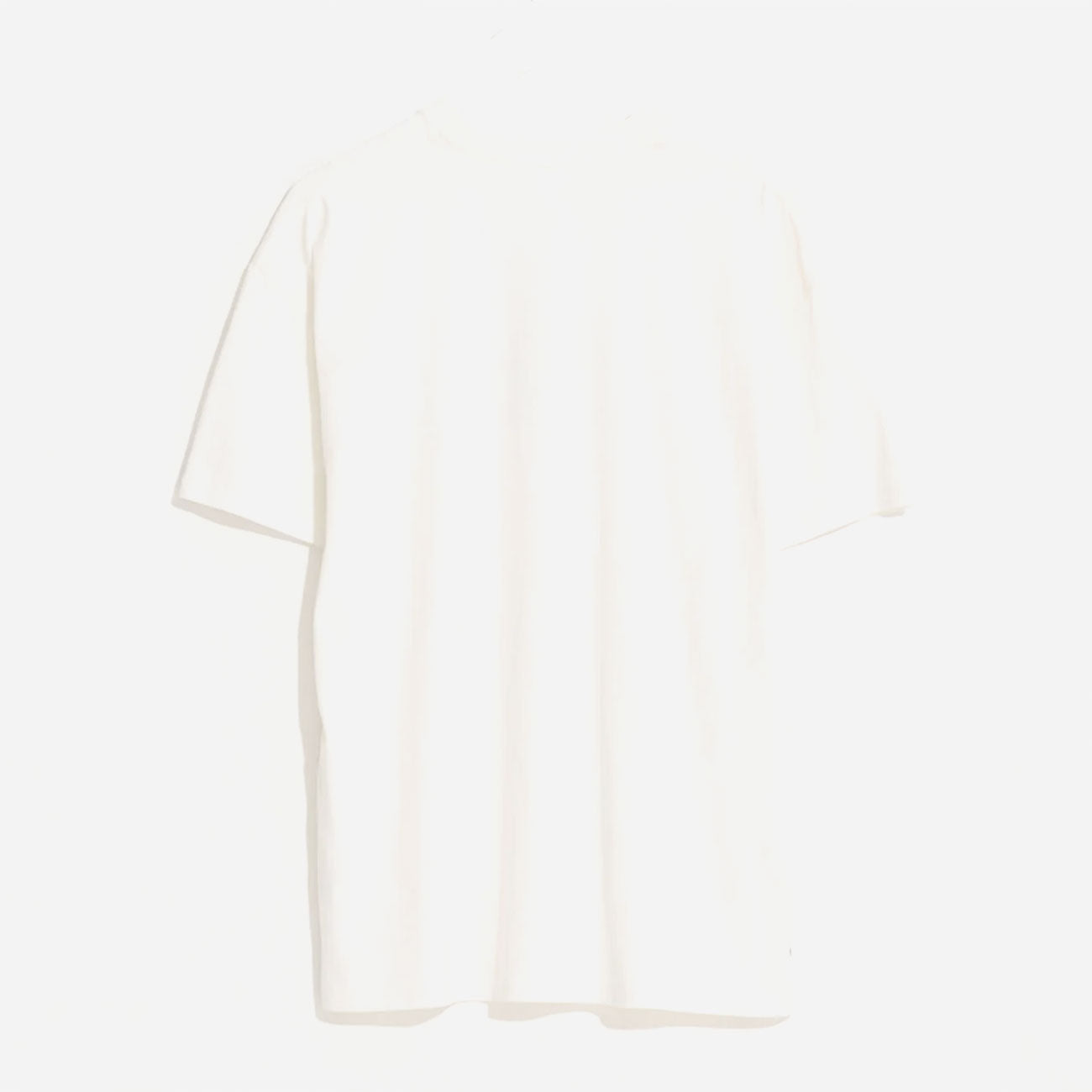 Misfit Shapes - Sheer Luck Tee - Pigment Thrift White