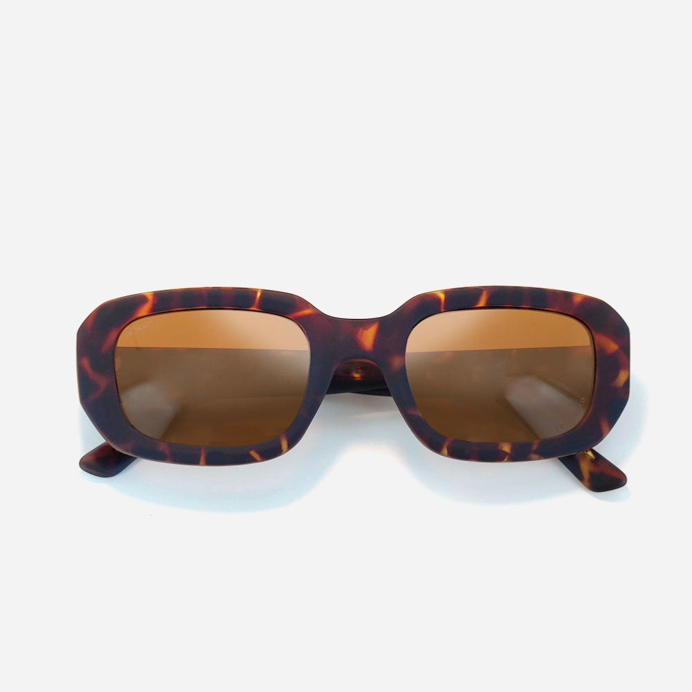 Moken - Zenith - Tortoise / Brown