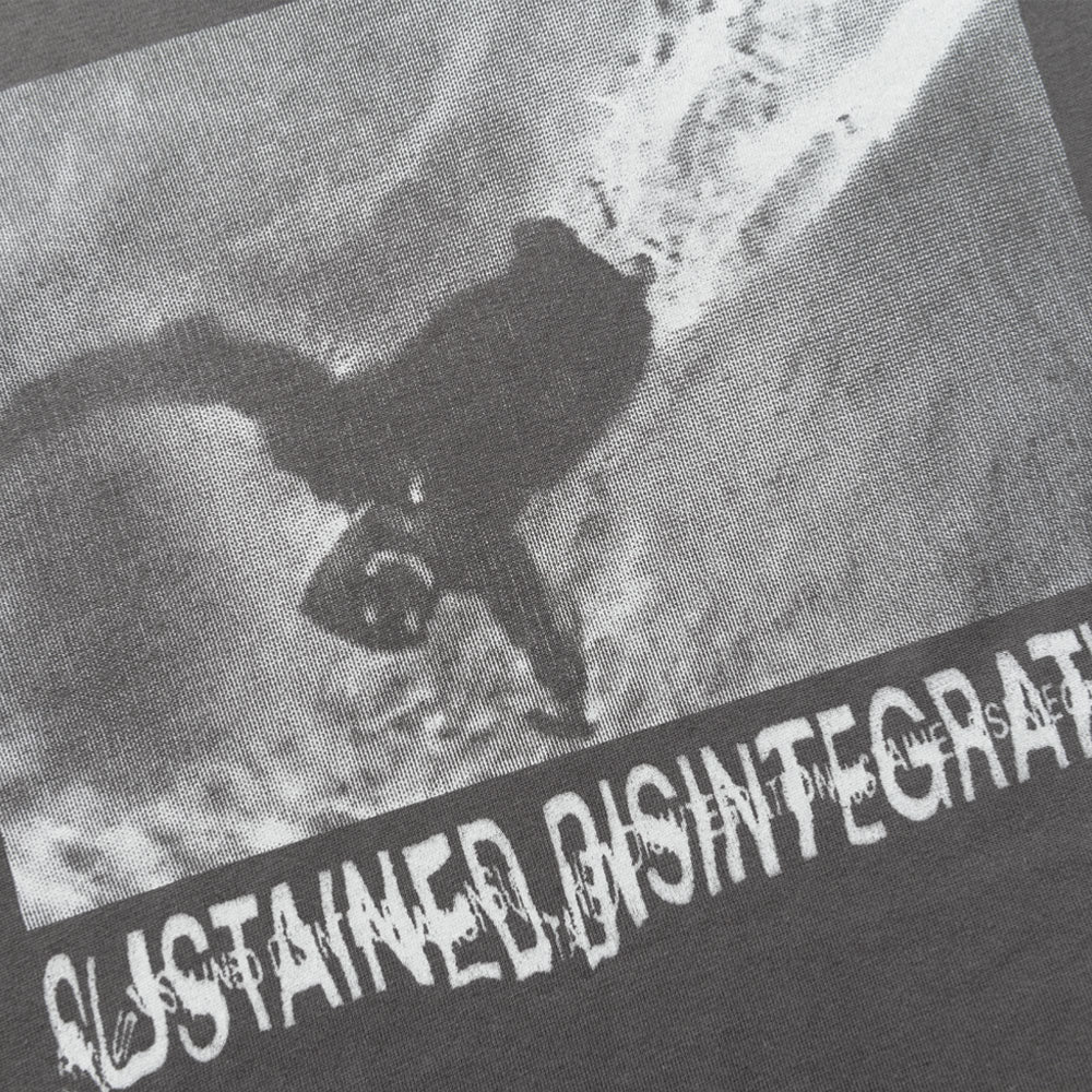 POLAR - TEE SUSTAINED DISINTEGRATION - Graphite