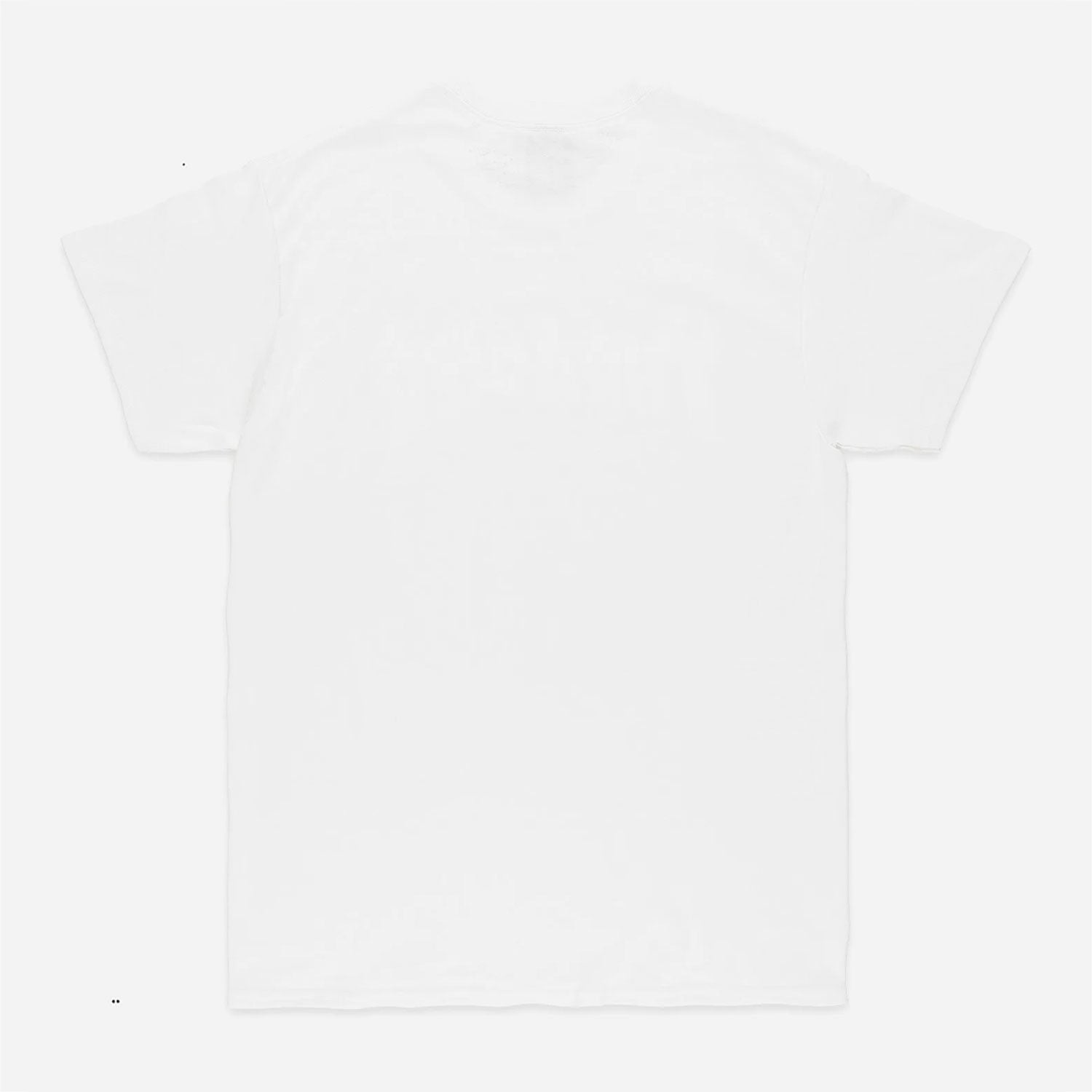 THRASHER FLAME LOGO TEE - White