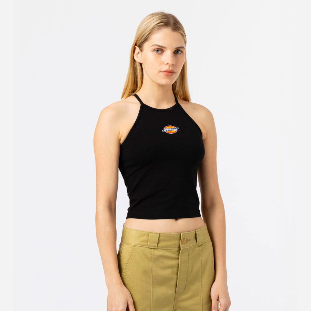 DICKIES - CHAIN LAKE - Black