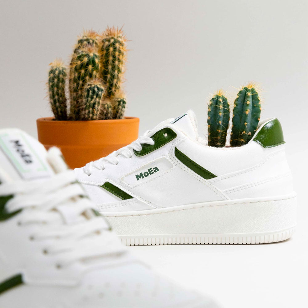 MoEA - GEN1 CACTUS - White Green