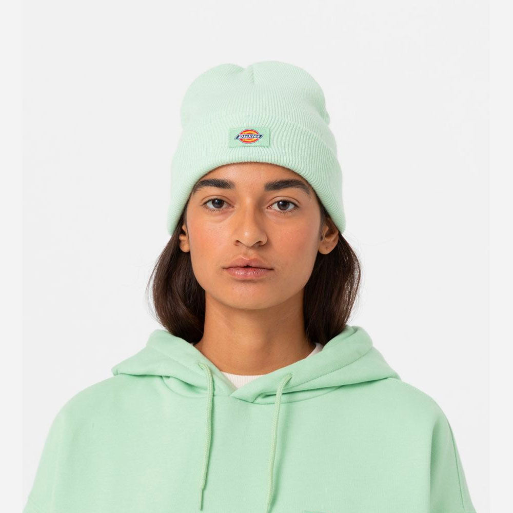 Dickies - Gibsland Beanie - Quiet Green