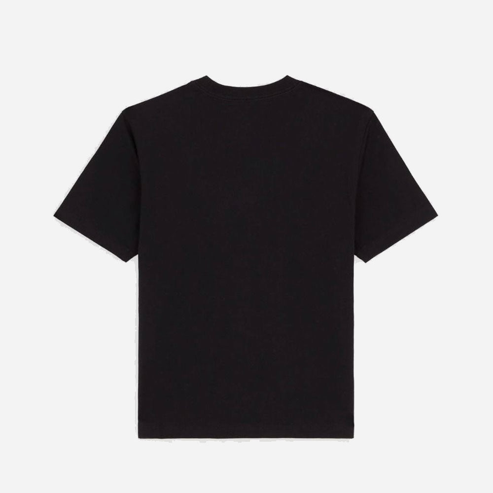 DICKIES - MAPLE VALLEY REG TEE W - Black