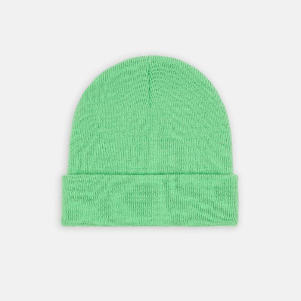 Dickies - Gibsland Beanie - Apple Mint