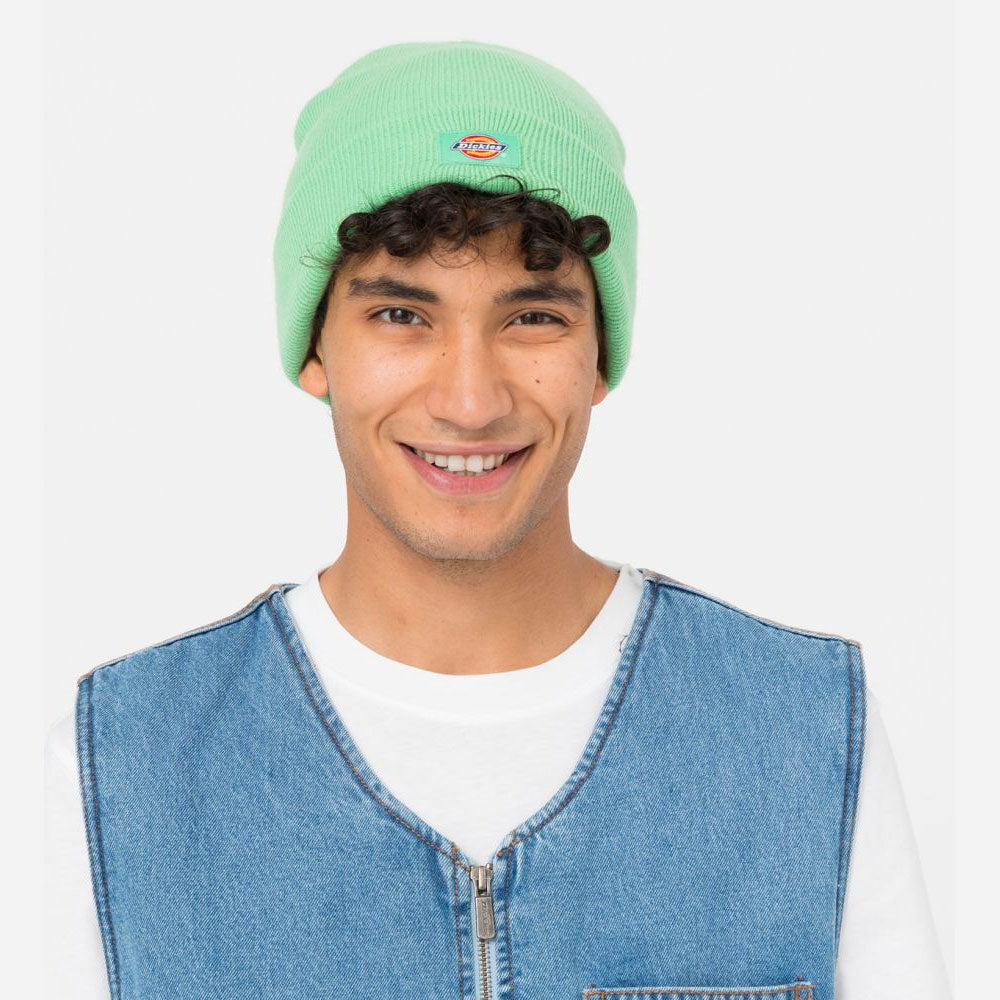 Dickies - Gibsland Beanie - Apple Mint