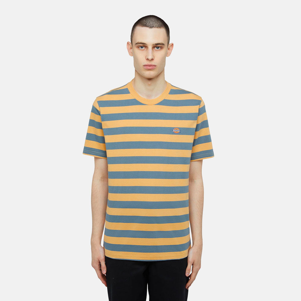 Dickies - Rivergrove SS Tee - Air Force Blue