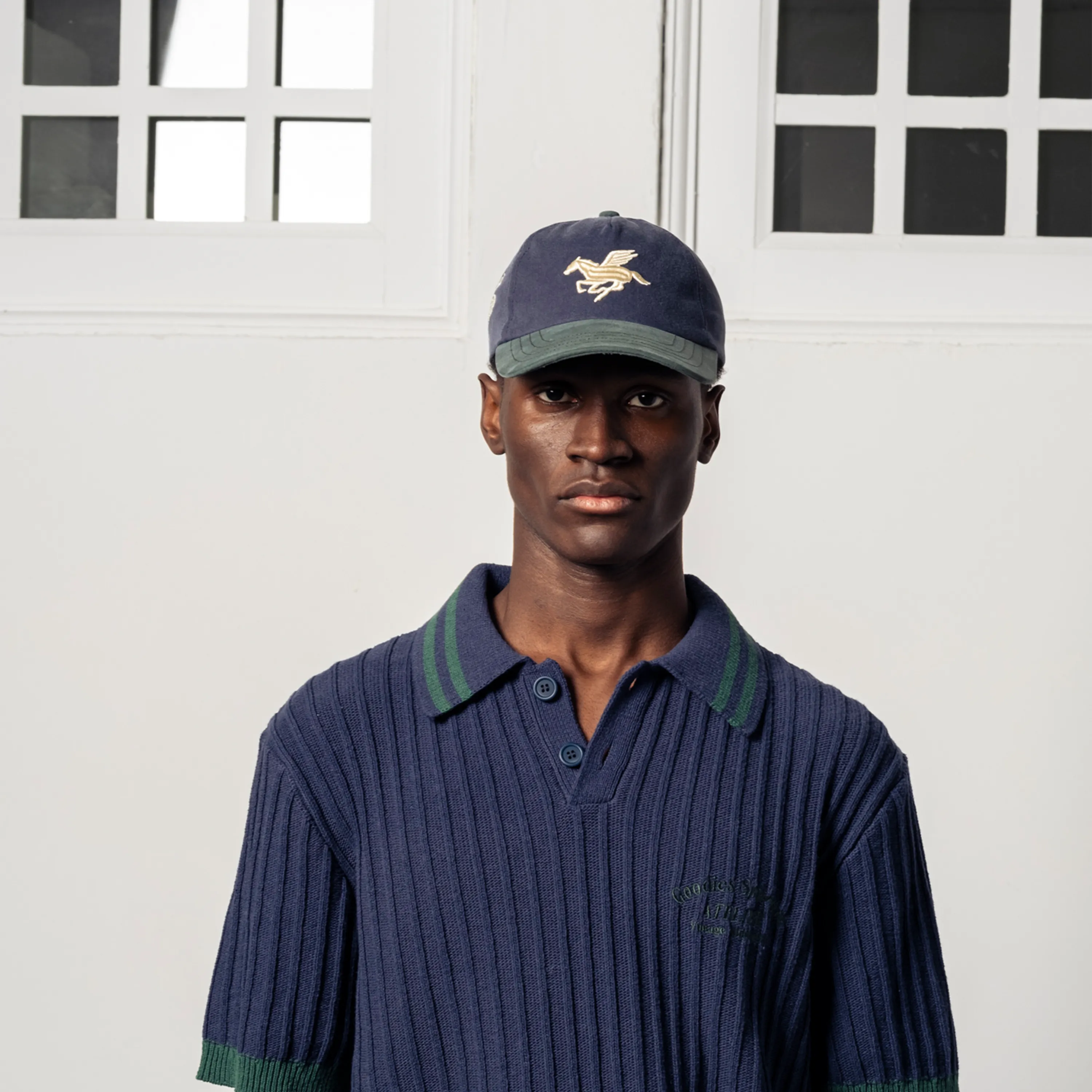 Goodies Sportive - 3D Pegasus Cap Washed Green / Blue