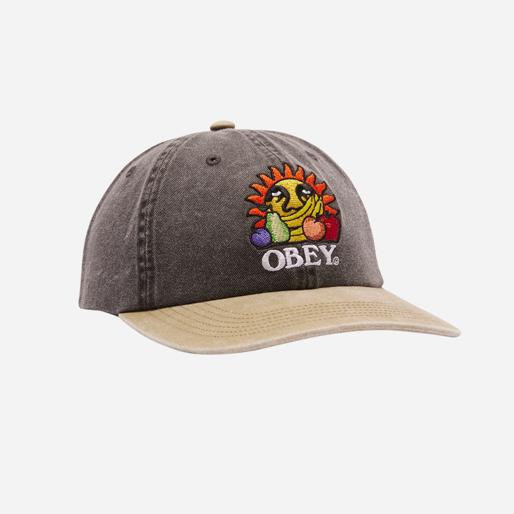 Obey - Fruit Pigment 6 Snapback panel - Multi black pigment