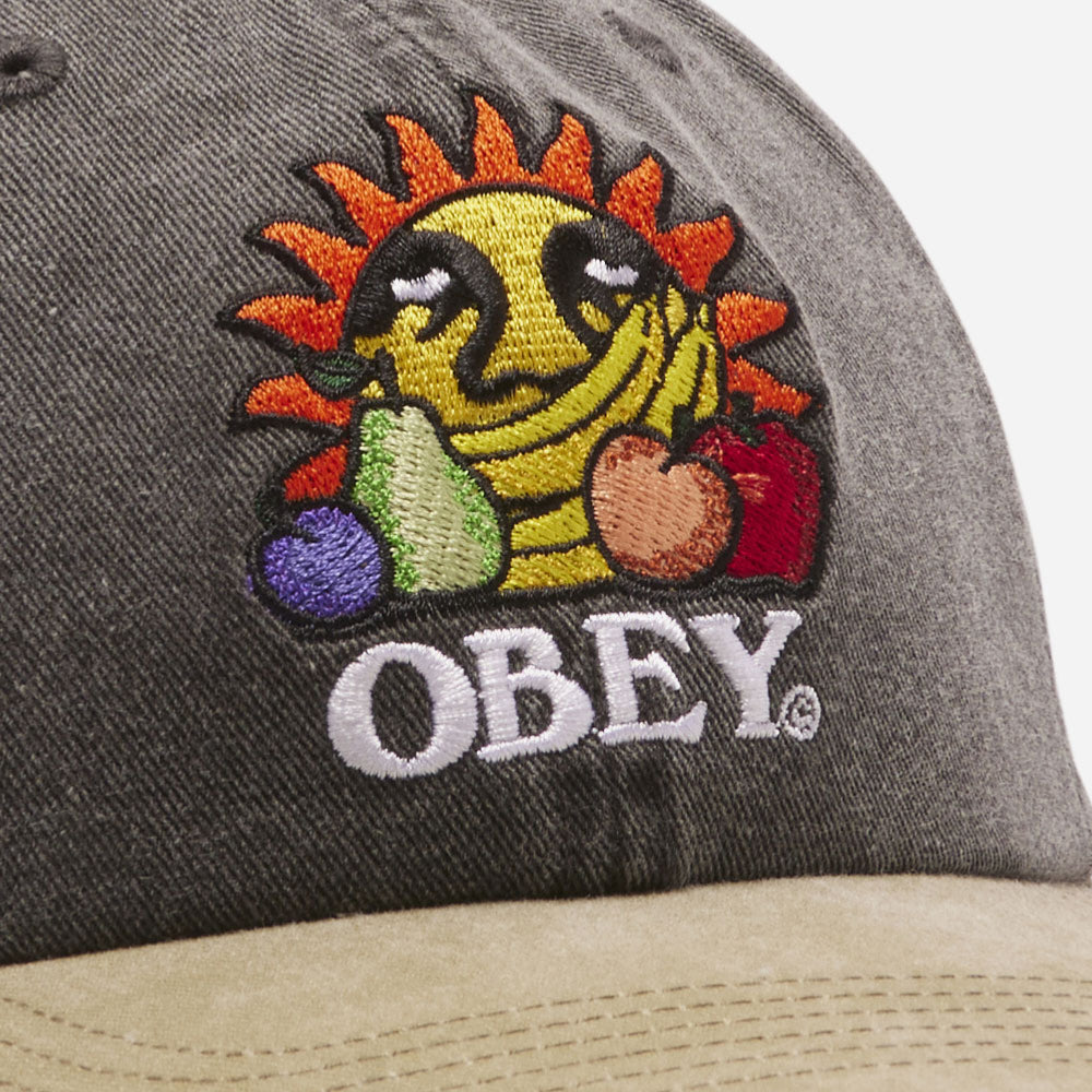 Obey - Fruit Pigment 6 Snapback panel - Multi black pigment