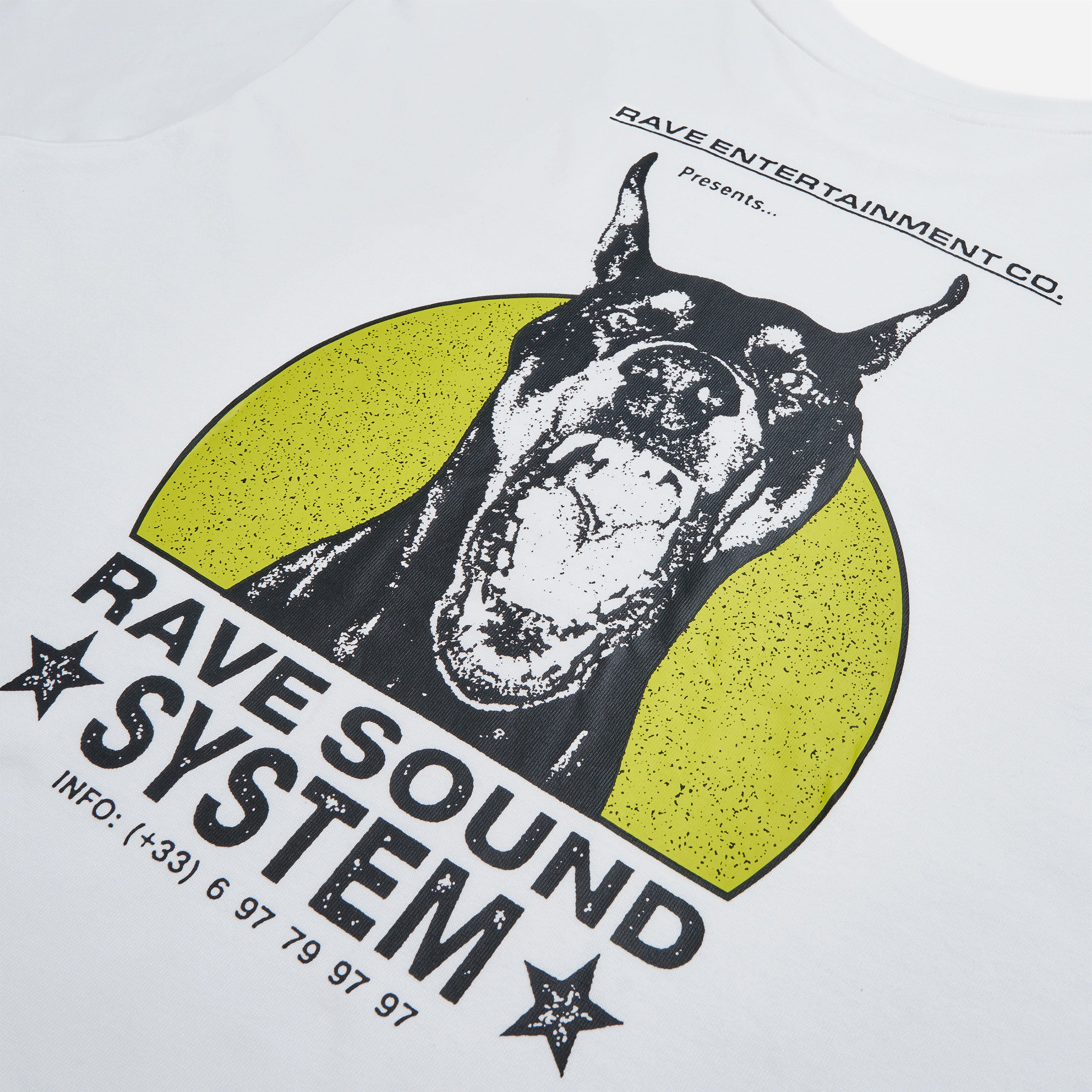 RAVE SKATEBOARDS - RSS TEE - White