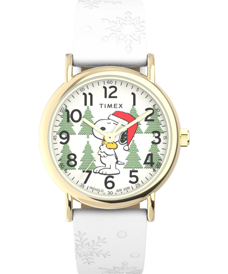 Timex Waterbury Ocean - Gray