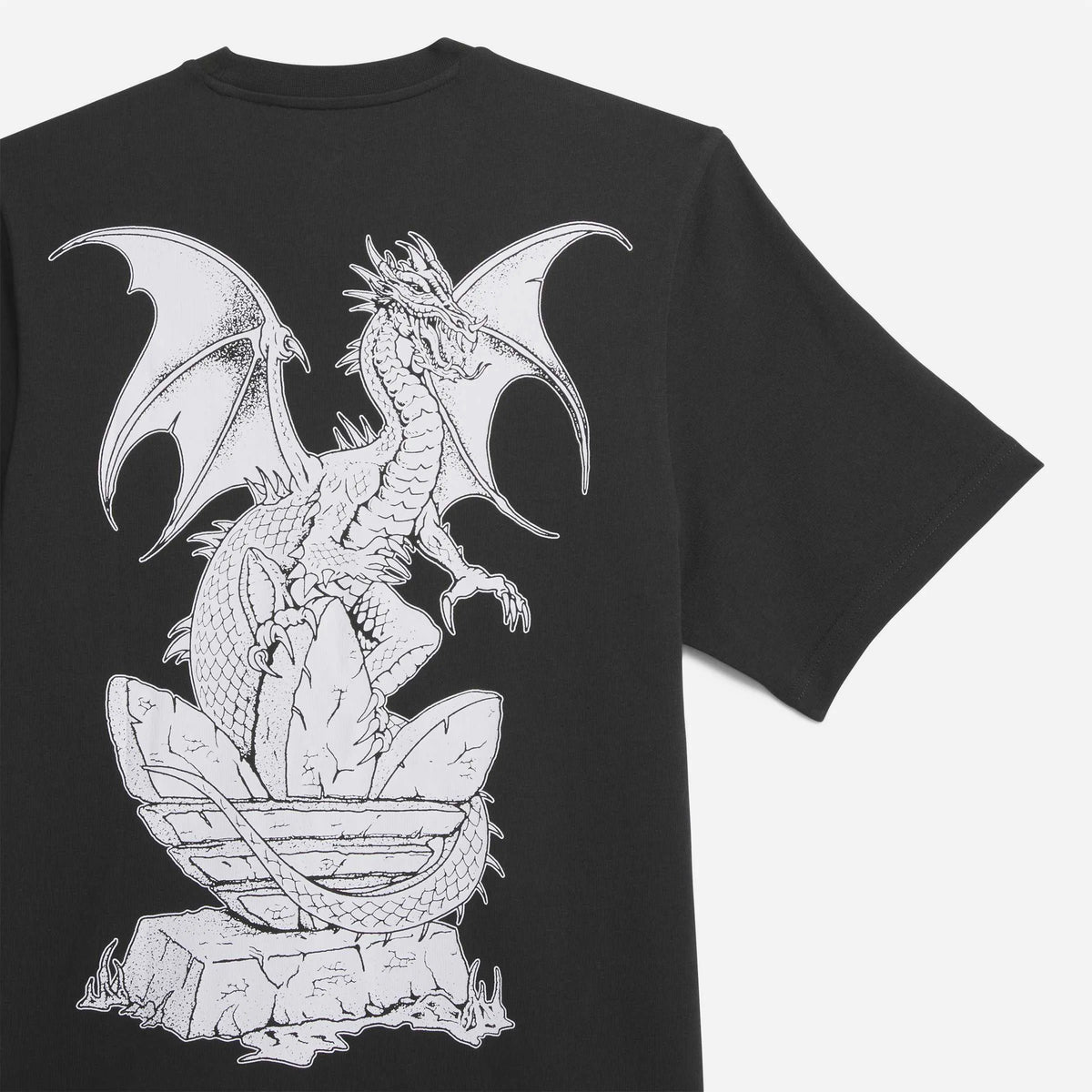 T-Shirt Adidas Skateboarding x Welcome Noir Dragon