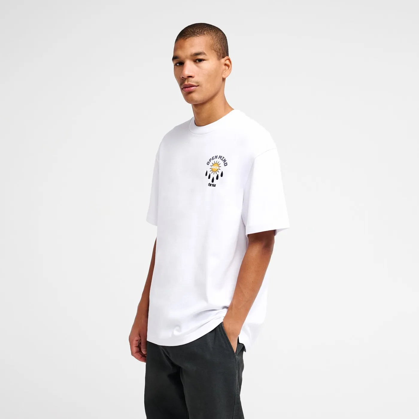 T-shirt RVCA The Stars White