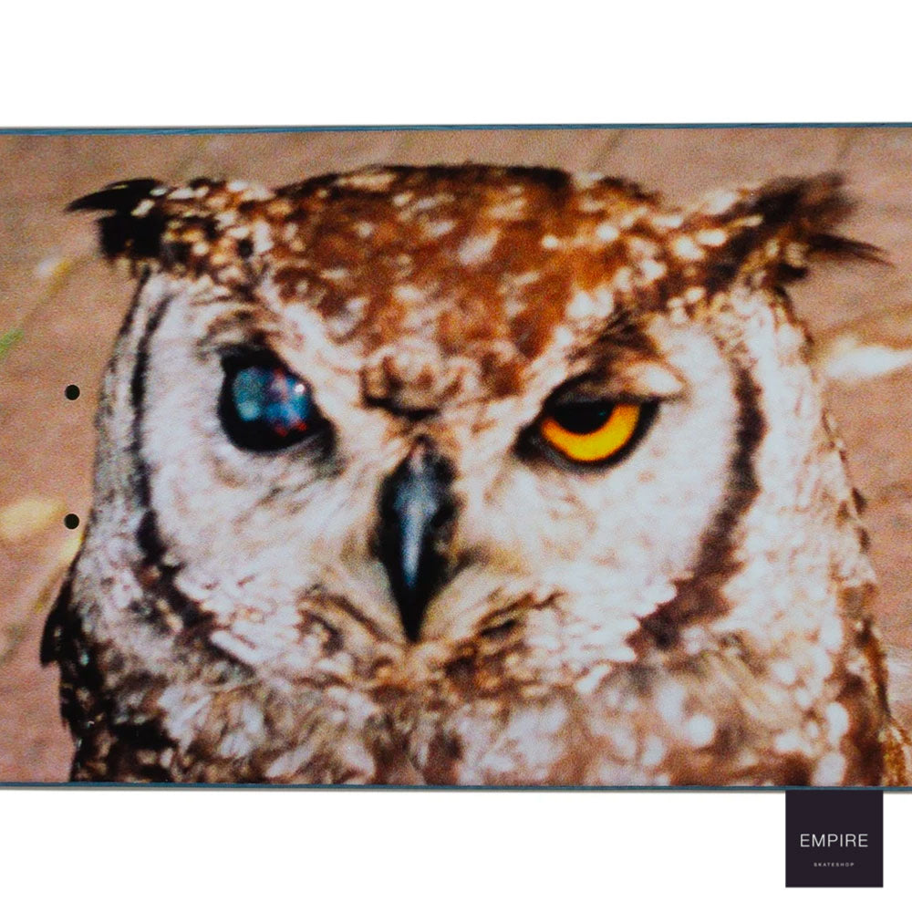 FUCKING AWESOME OWL PHOTO JASON DILL
