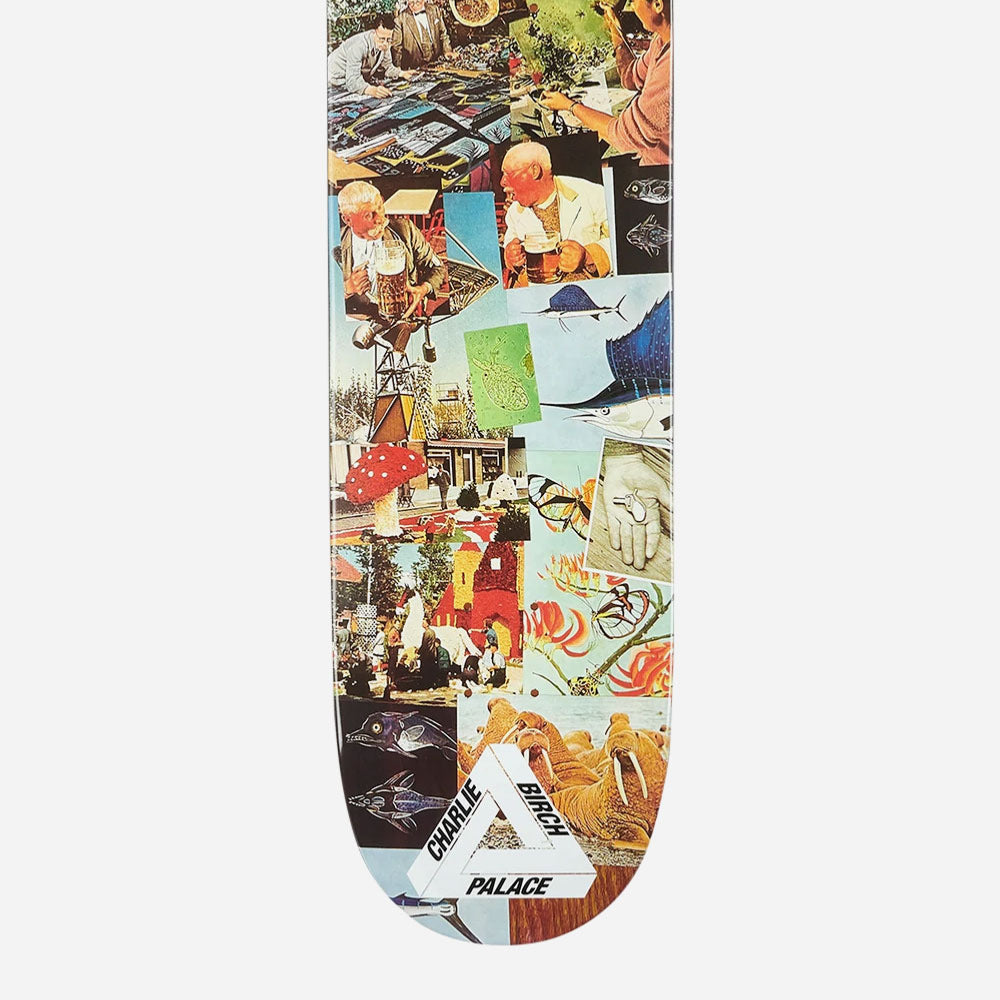 Skateboards palace - Charlie Pro S28